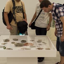 Vernisáž výstavy „kamenný herbár“ ponúka viac ako 140 exponátov - DSC_2588