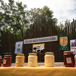 Zväčšiť fotografiu - Víkendové podujatia prilákali tisíce ľudí - TSK_nedela_08_22_mini (34 of 83)