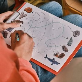 Zväčšiť fotografiu - Žiaci spojených škôl sa zahrali na paleontológov