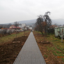 Grant zelené oči - obec dolné vestenice – projekt č. 03-2016/08/31-03 - Priloha 1-3_resize