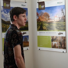 Zväčšiť fotografiu - Bošácka hruška bojuje o titul európsky strom roka - TSK Strom roka 2024_7