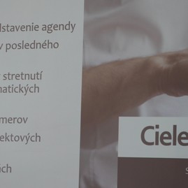 Zväčšiť fotografiu - Členovia strategicko-plánovacieho regiónu novomestského okresu diskutovali o projektových zámeroch - IMG_0039_2
