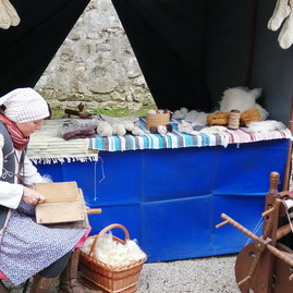 Zväčšiť fotografiu - Južné opevnenie a čerešňový sad v sobotu 1.10.2022 ožili - Juž17_resize