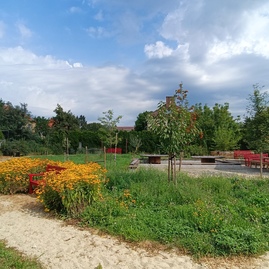 Zväčšiť fotografiu - Komunitná záhrada ako klenot mesta partizánske - 1738778571231(1)