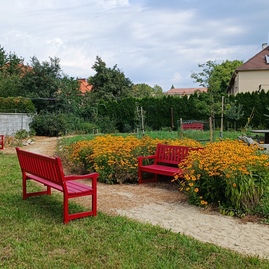 Zväčšiť fotografiu - Komunitná záhrada ako klenot mesta partizánske - bat. záhrada