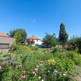 Zväčšiť fotografiu - Komunitná záhrada ako klenot mesta partizánske - bat. záhrada (2)