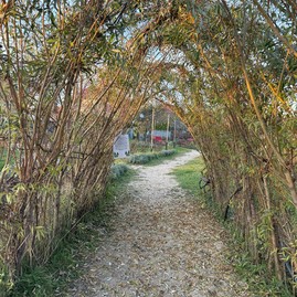 Zväčšiť fotografiu - Komunitná záhrada ako klenot mesta partizánske - foto_RMedal_4