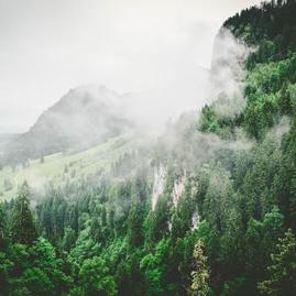 Zväčšiť fotografiu - Manažéri kvality ovzdušia zdieľali svoje skúsenosti - jace-afsoon-K4XHqPZq66c-unsplash