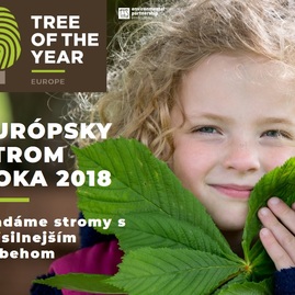 O titul európsky strom roka zabojuje v konkurencii skvostov z 13 krajín aj 120 ročná bošácka jabloň - tree of the year