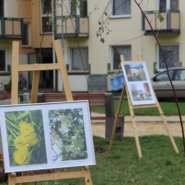 Takmer polovica predložených enviroprojektov v rámci grantového systému zelené oči sa dočká realizácie - IMG_1354