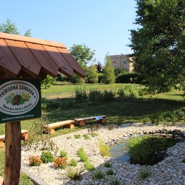 Takmer polovica predložených enviroprojektov v rámci grantového systému zelené oči sa dočká realizácie - IMG_1702