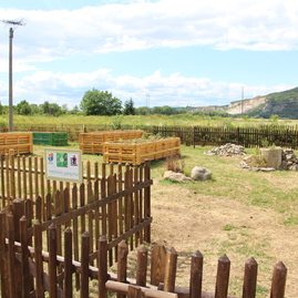 Takmer polovica predložených enviroprojektov v rámci grantového systému zelené oči sa dočká realizácie - IMG_2054