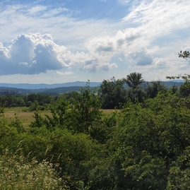 Zväčšiť fotografiu - Takto sme spoločne otvorili cyklotrasu. nájdete sa vo videu? - IMG_20210628_110015