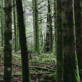 Zväčšiť fotografiu - Takto vyzerá krajská ekomapa - arnaud-steckle-47Wkhmejcy0-unsplash