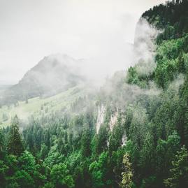 Zväčšiť fotografiu - Trenčianska župa partnerom projektu na zlepšenie kvality ovzdušia - jace-afsoon-K4XHqPZq66c-unsplash