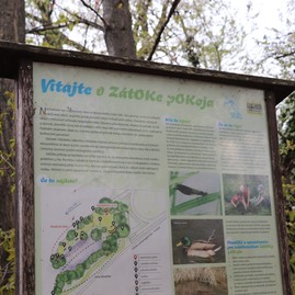Zväčšiť fotografiu - Trenčianska župa si deň zeme opäť pripomenula zmysluplnou aktivitou - IMG_7210
