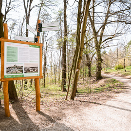 Zväčšiť fotografiu - Trenčiansky hrad ponúka nové výhľady i novosprístupnené zákutia - TSK_TN hrad_trebuchet_web (1)