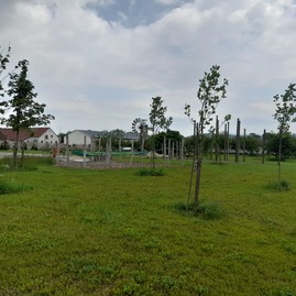 Zväčšiť fotografiu - V novovznikajúcom ekocentre predstavili ponuku vzdelávacích programov pre školy - 20230526_121649