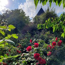 Zväčšiť fotografiu - V trenčianskom kraji nájdete už 47 certifikovaných prírodných záhrad