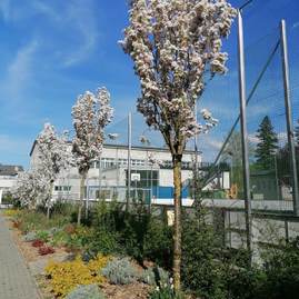 Zväčšiť fotografiu - V trenčianskom kraji nájdete už 47 certifikovaných prírodných záhrad