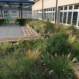 Zväčšiť fotografiu - V trenčianskom kraji nájdete už 47 certifikovaných prírodných záhrad