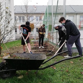 Zväčšiť fotografiu - V treťom kole zelených očí bola predložená takmer tridsiatka žiadostí - G_PU2