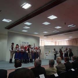 Výstava vinum laugaricio 2014 - 2