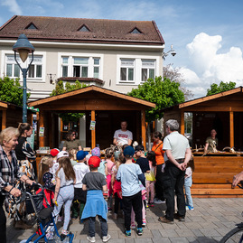 Zväčšiť fotografiu - Z námestia v trenčíne rozvoniaval les
