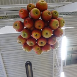 Zdravý životný štýl na výstavisku expo center - DSC02967