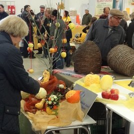 Zdravý životný štýl na výstavisku expo center - DSC02981