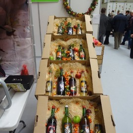 Zdravý životný štýl na výstavisku expo center - DSC02984