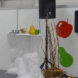 Zdravý životný štýl na výstavisku expo center - DSC03008