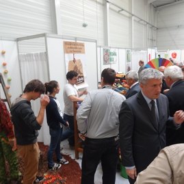 Zdravý životný štýl na výstavisku expo center - DSC03067