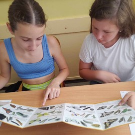 Zväčšiť fotografiu - Zelená budúcnosť škôl v kraji - image_123650291(1)