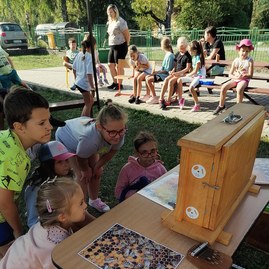 Zväčšiť fotografiu - Zelené oči aj v roku 2024 prispeli k zelenšiemu kraju - Vcelárova zena 1