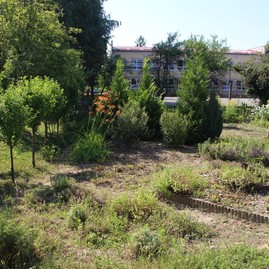 Zväčšiť fotografiu - Zelené oči po novom - IMG_1692