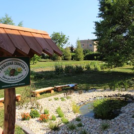 Zelených očí je v kraji čoraz viac - IMG_1702