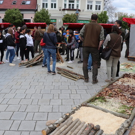 Zväčšiť fotografiu - Župné environmentálne aktivity súčasťou lesníckeho dňa po druhýkrát - IMG_6242
