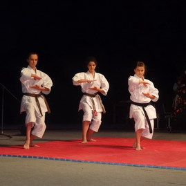 95. narodeniny trenčianskeho gymnázia ľ. štúra - 8_resize