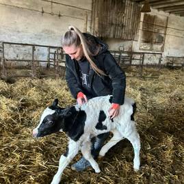 Zväčšiť fotografiu - Agrorezort trápi najmä nedostatok odbornej pracovnej sily - SOŠ Pruské_7