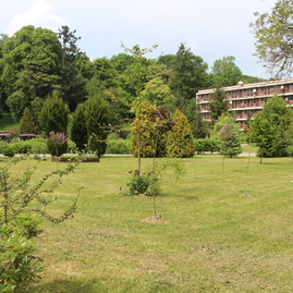 Jediná poľnohospodárska škola v kraji pozýva na víkend otvorených parkov a záhrad, ponúkne aj prírodnú telocvičňu - IMG_3724