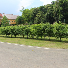 Jediná poľnohospodárska škola v kraji pozýva na víkend otvorených parkov a záhrad, ponúkne aj prírodnú telocvičňu - IMG_3751
