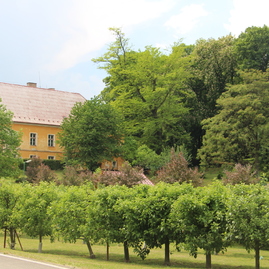 Jediná poľnohospodárska škola v kraji pozýva na víkend otvorených parkov a záhrad, ponúkne aj prírodnú telocvičňu - IMG_3759