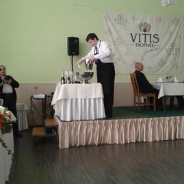 Jilemák zabodoval na vitis tropheé junior 2015 - 01