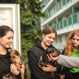 Zväčšiť fotografiu - Národná kultúrna pamiatka sa mení na modernú školu - TSK_SOŠ Pruské_strecha_intrák_mini-2