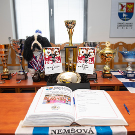 Nemšová je baštou dievčenského florbalu, z najväčšieho šampionátu na svete si tento rok nemšovské florbalistky odniesli striebro i zlato - 20180727_TSK_florbalistky_Nemsova_003w