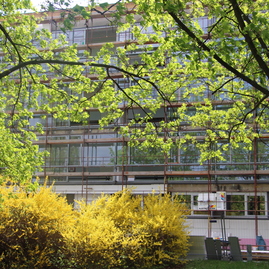 Práce na rekonštrukcii soš e. belluša v trenčíne a výstavbe telocvične športového gymnázia finišujú. akými zmenami od minulého roka prešli? pozrite sa sami! - SOS_STAVEBNA_REKONSTRUKCIA (9)