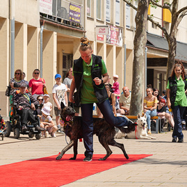 Zväčšiť fotografiu - Šikovnosť študentov odprezentovali ôsmakom v pilotnom projekte - TSK_prezka3škôl_mini (18 of 30)