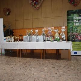 Soš pruské na medzinárodnej súťaži v malinove - P2127221