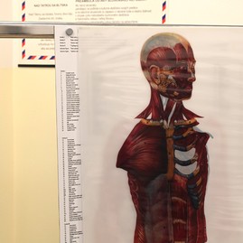 Zväčšiť fotografiu - Stredná zdravotnícka škola v prievidzi pripravuje žiakov na reálnu prax s pomocou moderných technológií